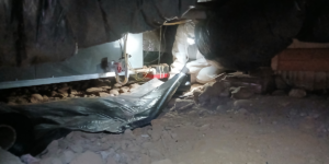 EcoCare Pest Control Handles Rodent Exclusion In-House