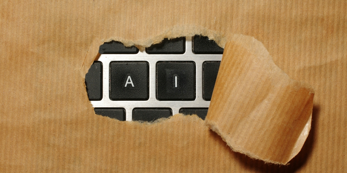When an Investor Asks an AI About You, What Comes Back?