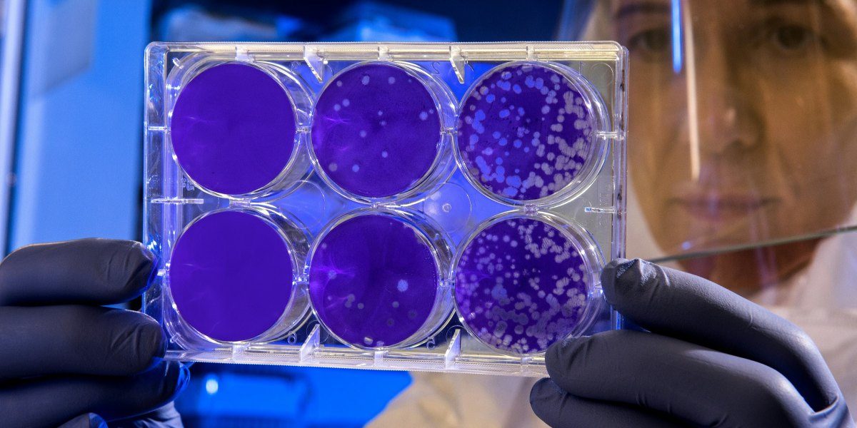 Cord Blood Banking Is a Strategic Bet on the Future of Healthcare