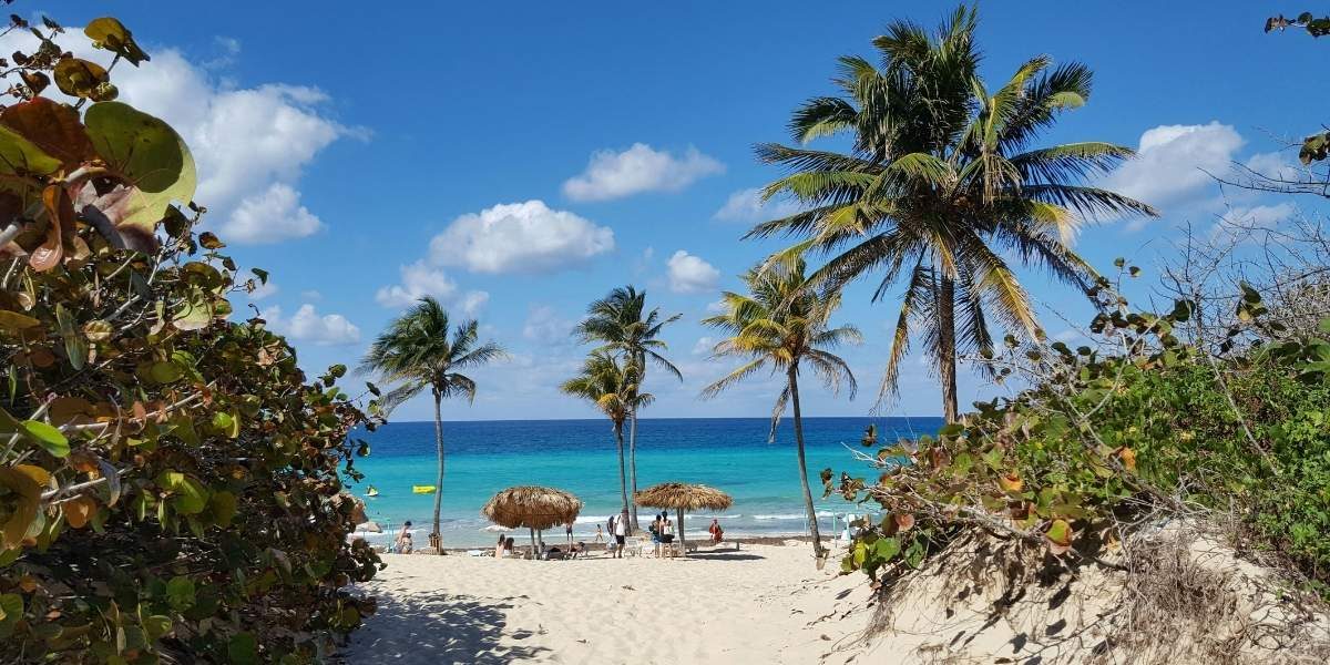 Crystal Evans: A Visionary Entrepreneur and Author Transforming the Caribbean
