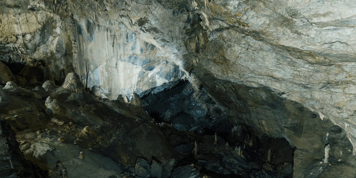 Glow Worm Caves Shine as 'Best of Queensland' 2022 Winner
