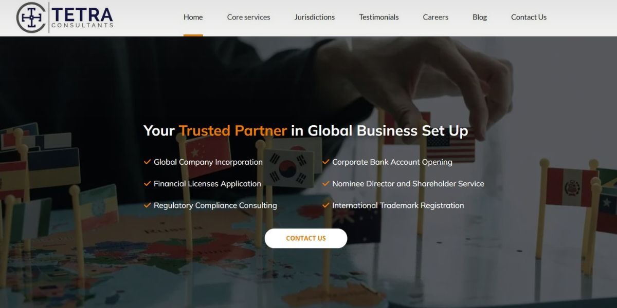 How Tetra Consultants Helps Companies Manage Complex International Markets