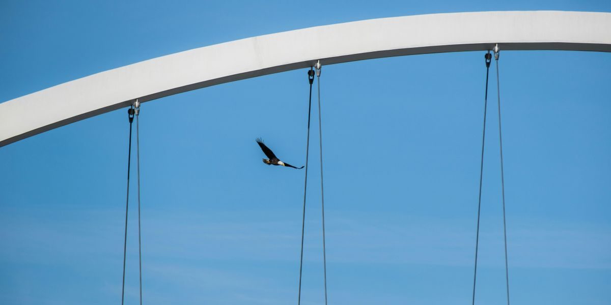 How to Choose the Right Contractor: What Sets Eagle Concrete Products Apart