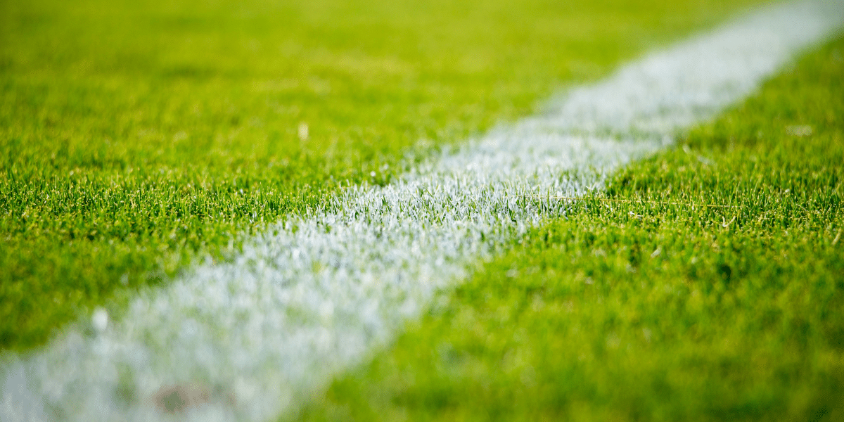 Robert E. Bear, Inventor of Bearball®, Seeks Partnerships and Funding to Bring the Team Sport to a Wider Audience