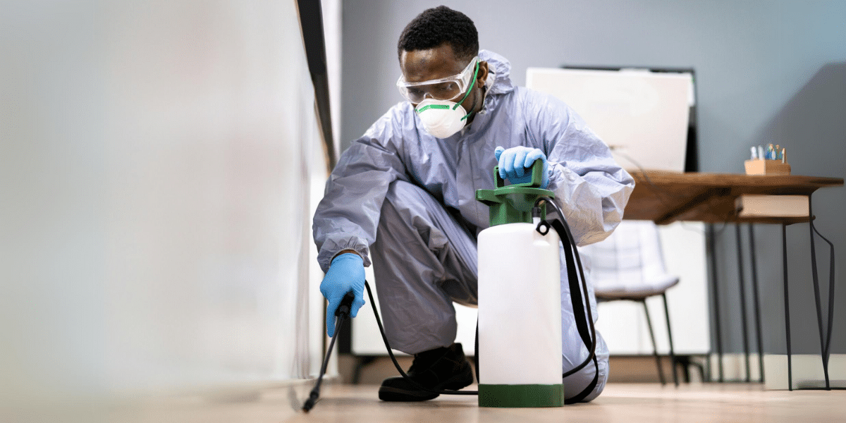 The Importance of Regular Professional Pest Control for Businesses