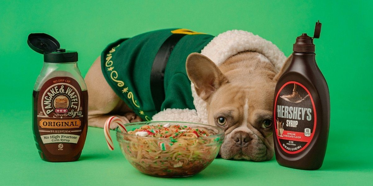 Understanding Additives in Pet Food: What You Should Know