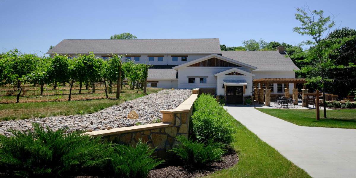 What to Expect on a Temecula Wine Tour: Your Essential Guide