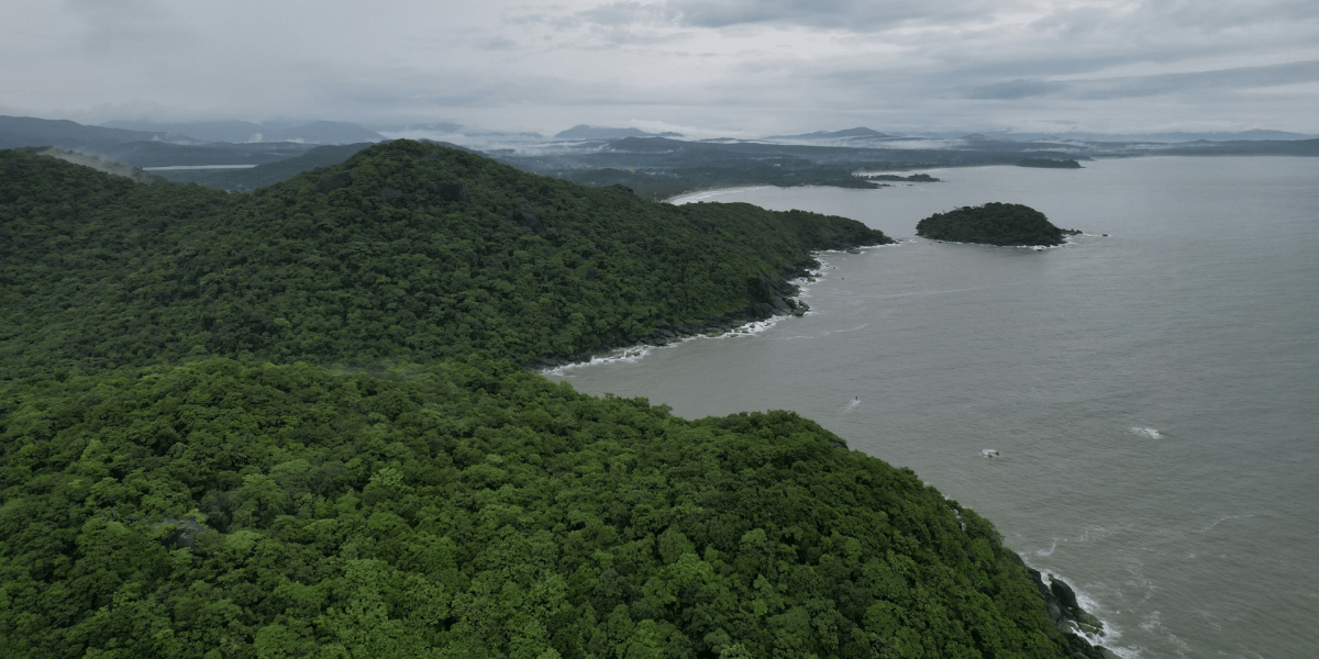 How Can You Choose the Ideal Resort in Goa for a Memorable Experience?